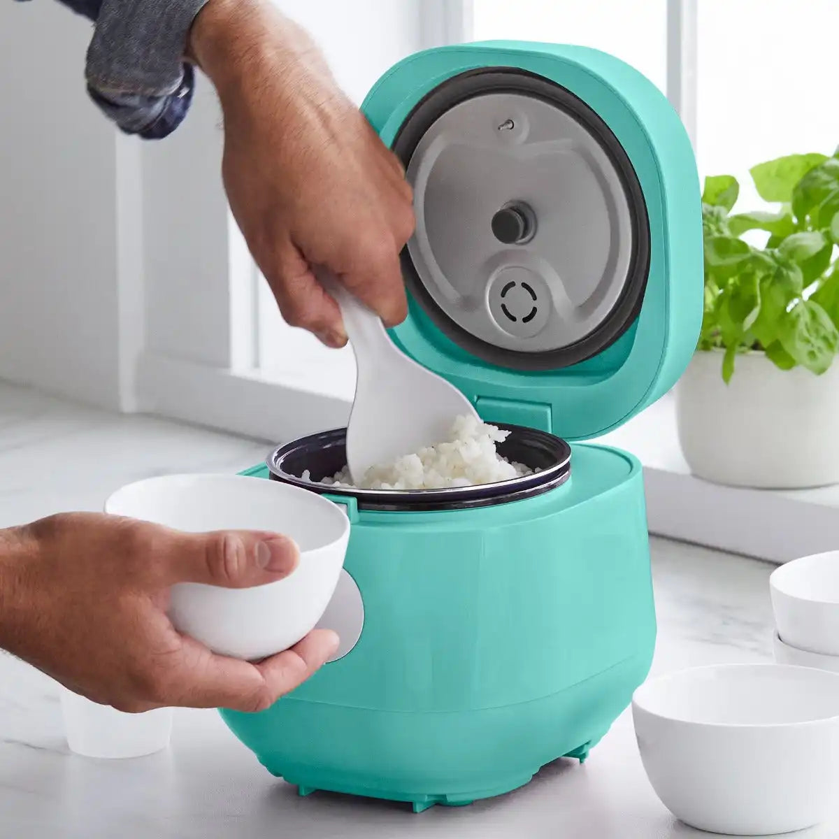 GreenLife 4-Cup Rice & Grains Cooker | Turquoise