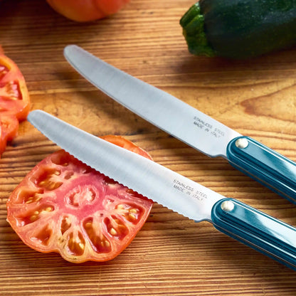 Stanley Tucci™ 2-Piece Prep Knife Set | Venetian Teal