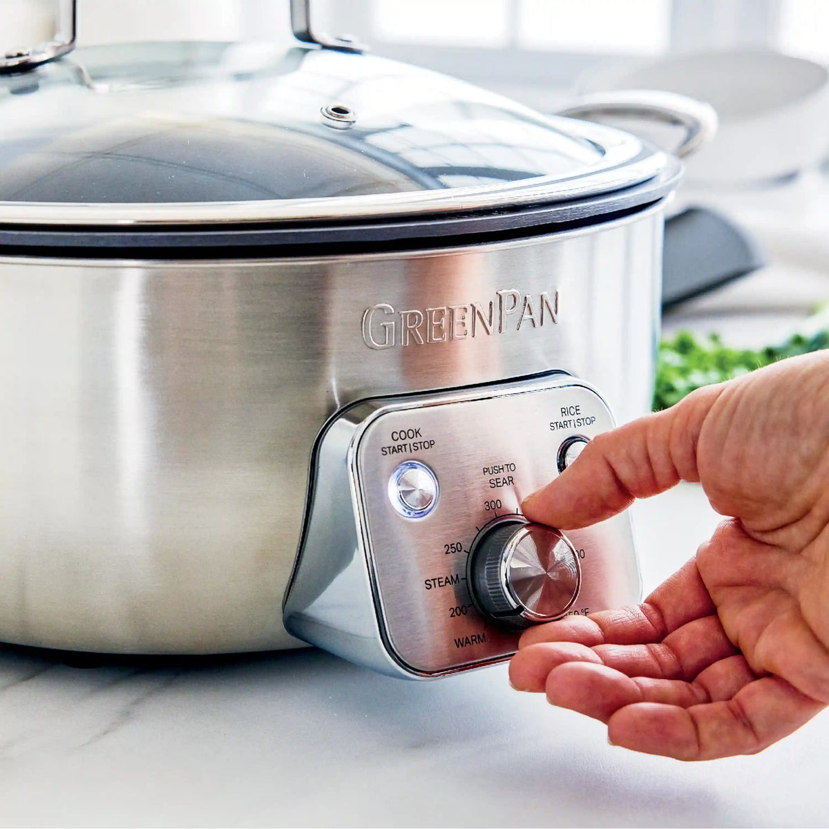 Premiere 6-Quart Electric Wok